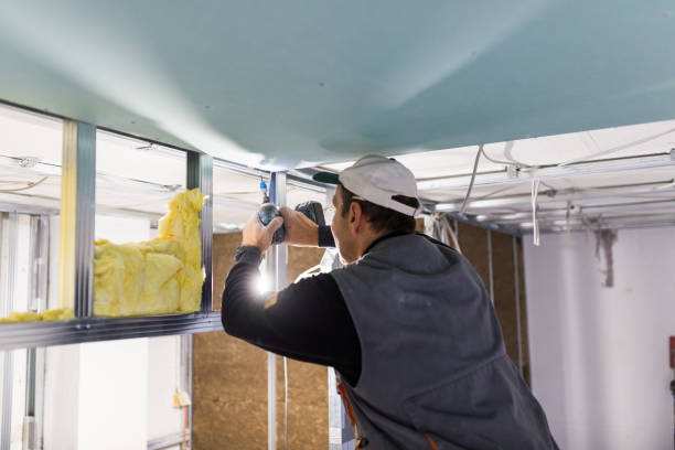 Best Commercial Insulation in Edgemoor, DE