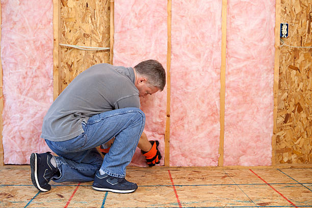 Best Types of Insulation in Edgemoor, DE